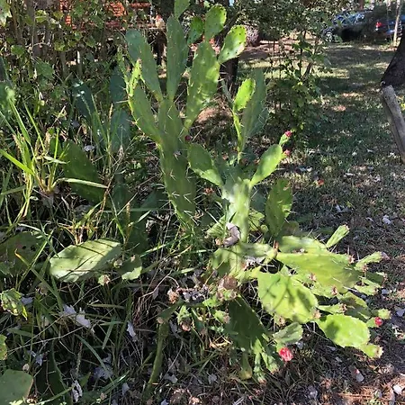 Hébergement de vacances B2 - Nature, & River Ofir