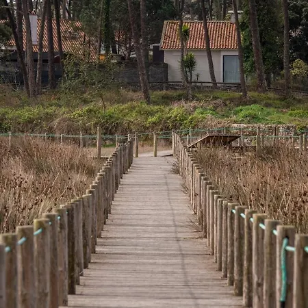 Vakantiehuis B2 - Nature, & River Ofir