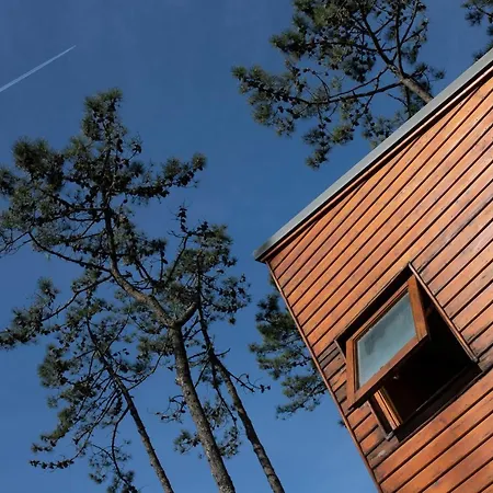 B2 - Nature, & River Ofir