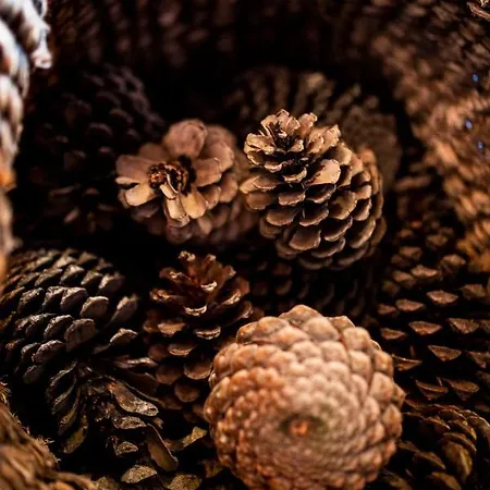 Hébergement de vacances B2 - Nature, & River