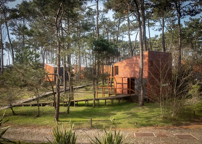 B2 - Nature, & River * Ofir