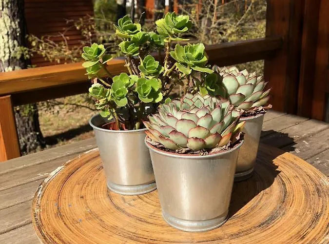 Prázdninový dům B2 - Nature, & River Ofir