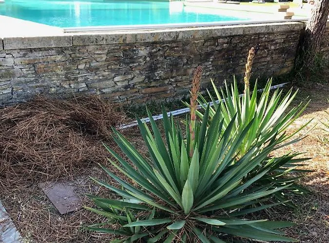 B2 - Nature, & River