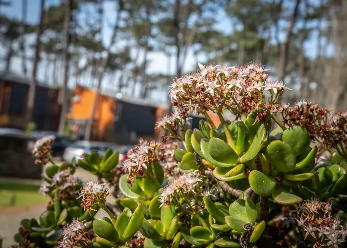 B2 - Nature, & River Prázdninový dům