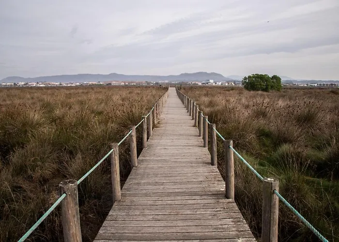 Prázdninový dům B2 - Nature, & River