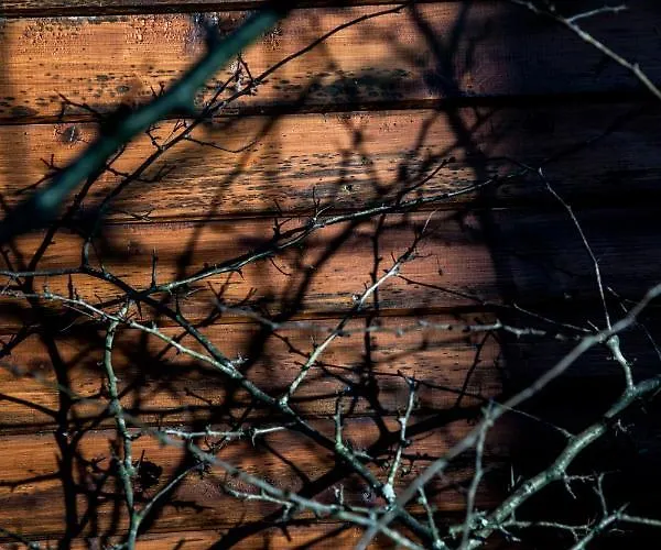 B2 - Nature, & River