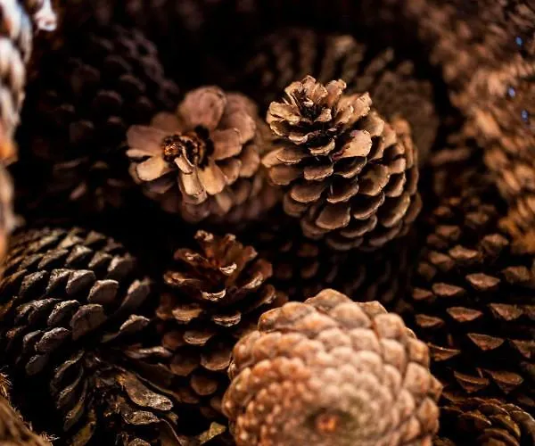 Prázdninový dům B2 - Nature, & River