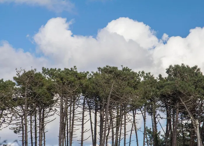 Prázdninový dům B2 - Nature, & River *