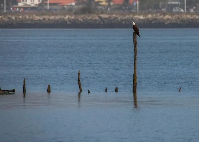 B2 - Nature, & River Ofir