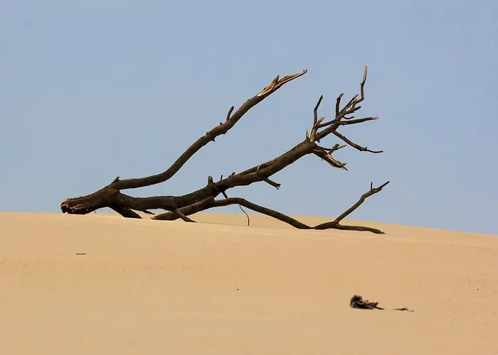 B2 - Nature, & River * Ofir