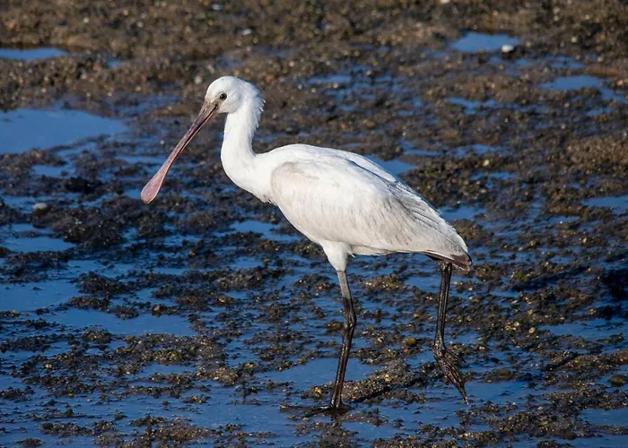 B2 - Nature, & River Prázdninový dům Ofir