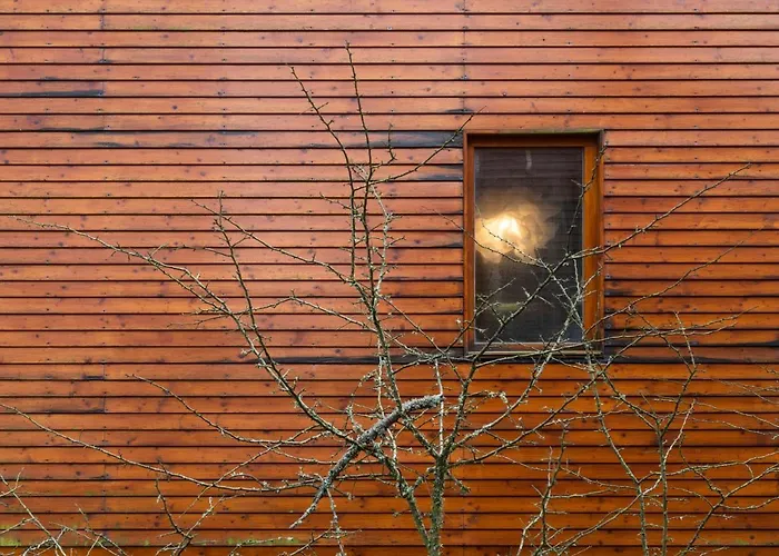 Prázdninový dům B2 - Nature, & River